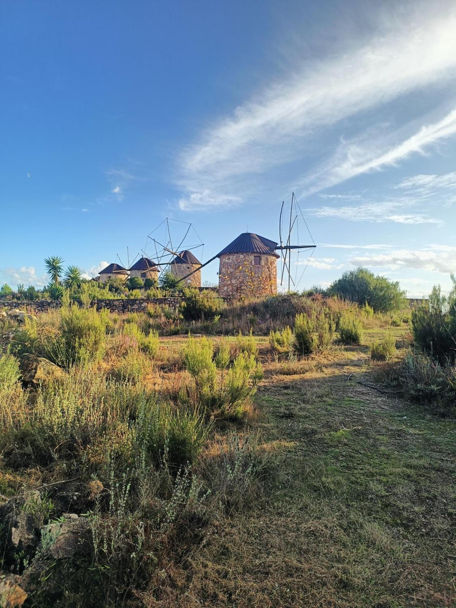 Villa Moinho Da Alfazema Penacova Esterno foto
