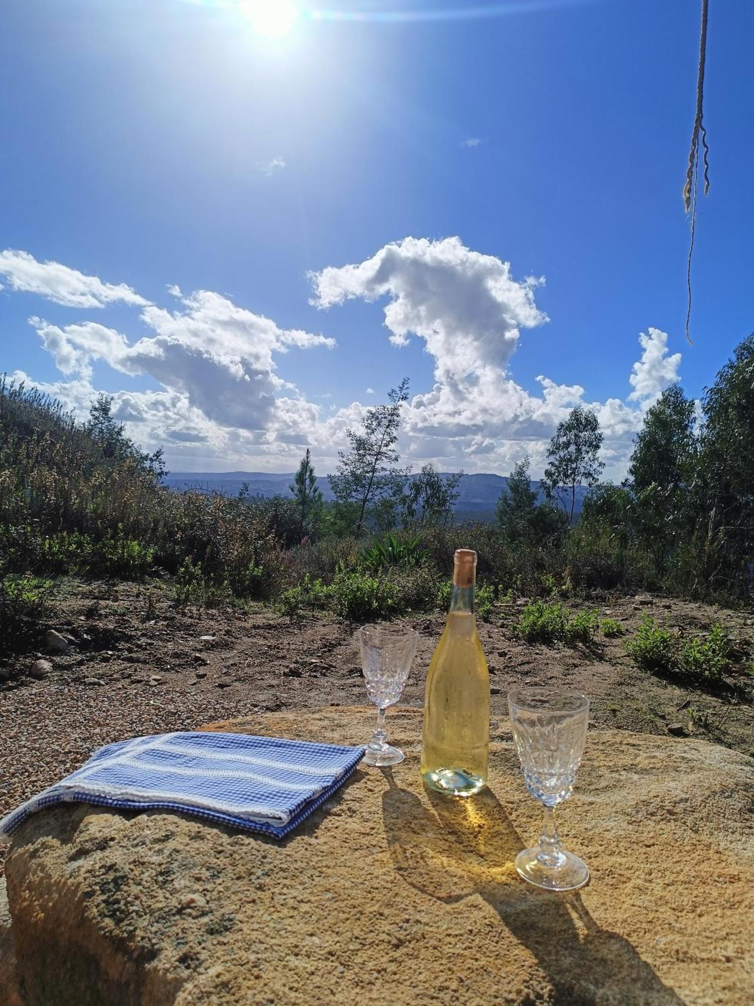 Villa Moinho Da Alfazema Penacova Esterno foto